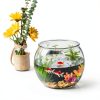 Geelin Fish Bowl 3 Gallon Round PET Aquarium Shatter Resistant-2