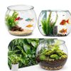 Geelin Fish Bowl 3 Gallon Round PET Aquarium Shatter Resistant-4