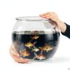 Geelin Fish Bowl 3 Gallon Round PET Aquarium Shatter Resistant-0