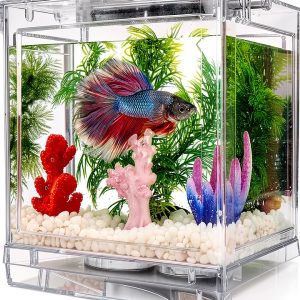 Small Betta Fish Tank Oltraman 0.6 Gallon Stackable with LED Lighting-0