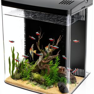 Desktop Fish Tank 1.2 Gallon with 5‑Color LED Light by Sysencia-0