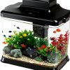 Small Fish Tank DaToo 1.6 Gallon Aquarium Kit with LED Light & Filter-0