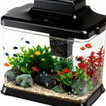 Small Fish Tank DaToo 1.6 Gallon Aquarium Kit with LED Light & Filter-0