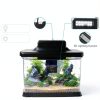 Small Fish Tank DaToo 1.6 Gallon Aquarium Kit with LED Light & Filter-3