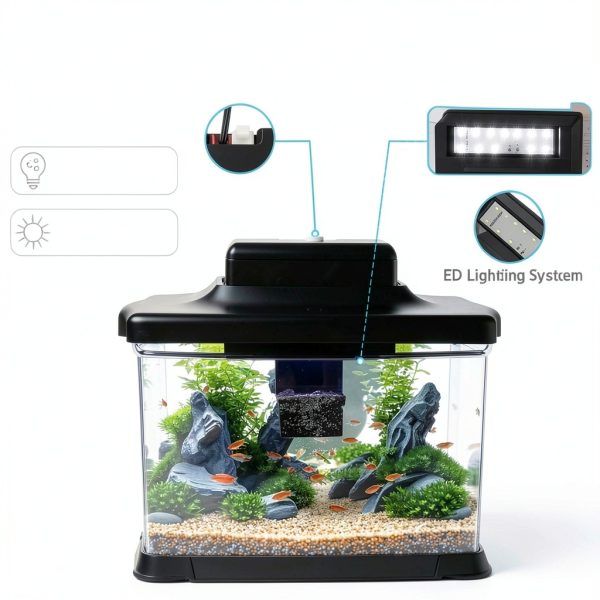 Small Fish Tank DaToo 1.6 Gallon Aquarium Kit with LED Light & Filter-3