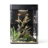 Desktop Fish Tank 1.2 Gallon with 5‑Color LED Light by Sysencia-6
